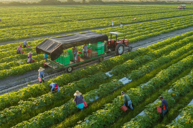 Đi trọn thế gian ghé thăm những trang trại Organic siêu xinh Càng hiện đại, con người càng có xu hướng tìm về thiên nhiên, nơi giúp họ lấy lại cân bằng và cảm giác bình yên vốn có. Bởi vậy mà những trang trại Organic với vẻ đẹp thuần khiết luôn được mọi người yêu thích ghé thăm. Cùng điểm danh những trang trại Organic xinh đẹp thuộc hàng Top thế giới ngay nhé! Bạn hẳn sẽ bất ngờ khi Việt Nam cũng có một trang trại hữu cơ thuộc hàng Top thế giới đấy!