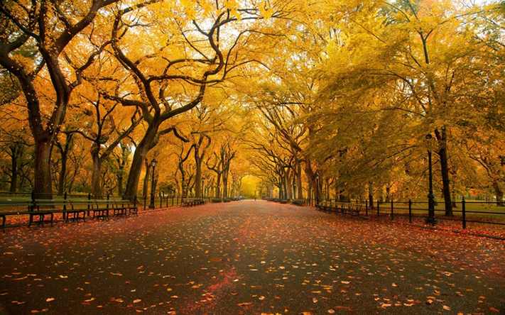 du-lịch-thổ-nhĩ-kỳ-istanbul-autumn-itinerary-711