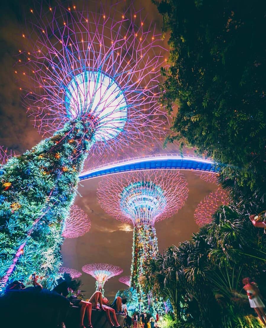 Ảnh: @Mexinsta Ảnh: @Mexinsta