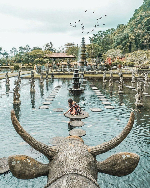 Những con cá chép đầy màu sắc bơi lội tự do trong hồ là điểm thu hút nhất tại khu vườn của cung điện. Bạn có thể thoải mái đi lại cho cá ăn và chụp ảnh tại con đường độc đáo làm từ những tấm gạch "nổi" trên mặt nước. Hồ nước tuyệt đẹp của khu vườn cùng những con cá chép thân thiện chính là hình ảnh khiến cung điện Tirta Gangga trở thành điểm check-in hot nhất nhì miền đông Bali.