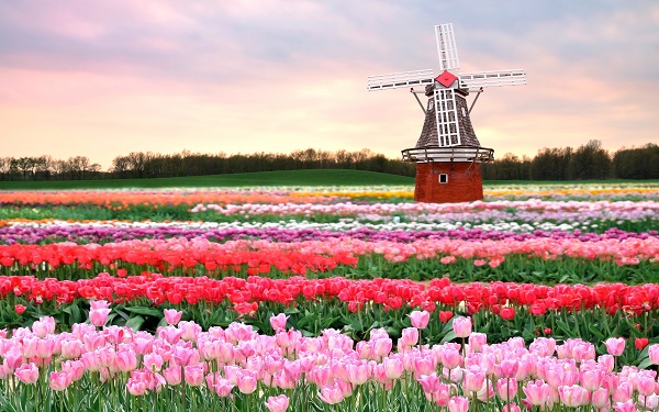 Amsterdam Hà Lan