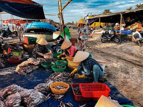 Nếu đến đây vào dịp sáng sớm bạn sẽ có cơ hội chiêm ngưỡng khung cảnh buôn bán tấp nập của ngư dân trở về sau những chuyến đi biển khuya.