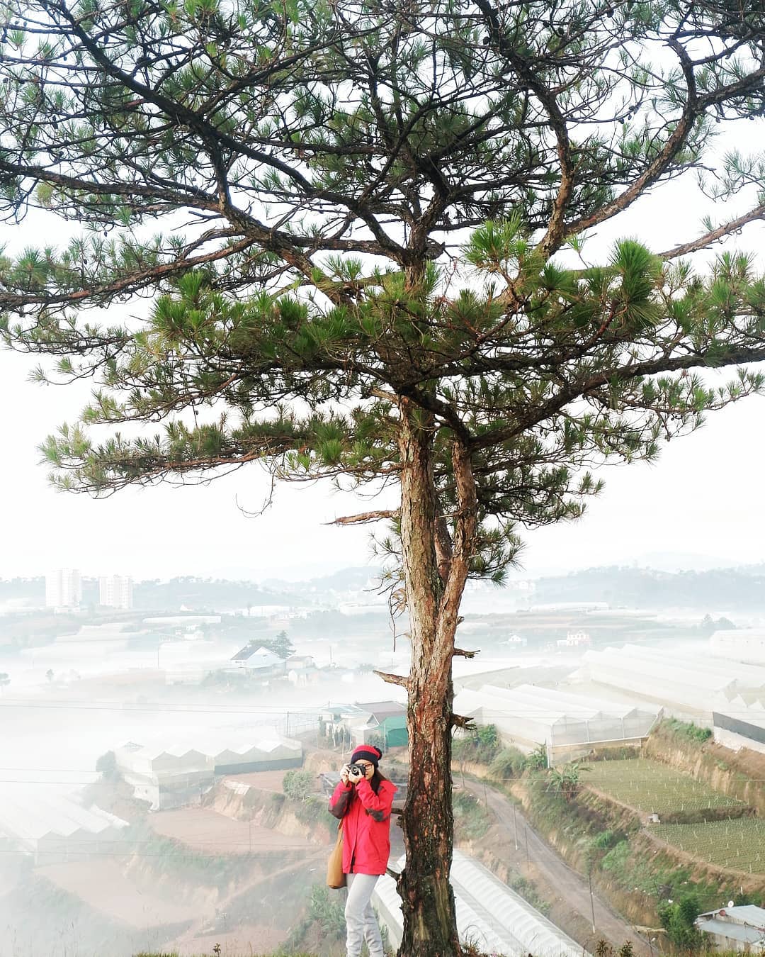 Ảnh: lalla.nq Ảnh: lalla.nq