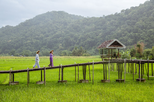 "Phượng Hoàng Cổ Trấn" version Thái thực ra chính là ngôi làng có tên Ban Rak Thai - một ngôi làng nhỏ nằm nép mình trên khu vực cao nhất của tỉnh Mae Hong Son, chỉ cách biên giới Thái Lan – Myanmar chừng 1km. Vì nằm cách khá xa trung tâm nên ngôi làng này không nổi tiếng đối với du khách quốc tế cho lắm, nhưng với người Thái thì đây lại là một trong những địa điểm nghỉ dưỡng siêu lý tưởng.