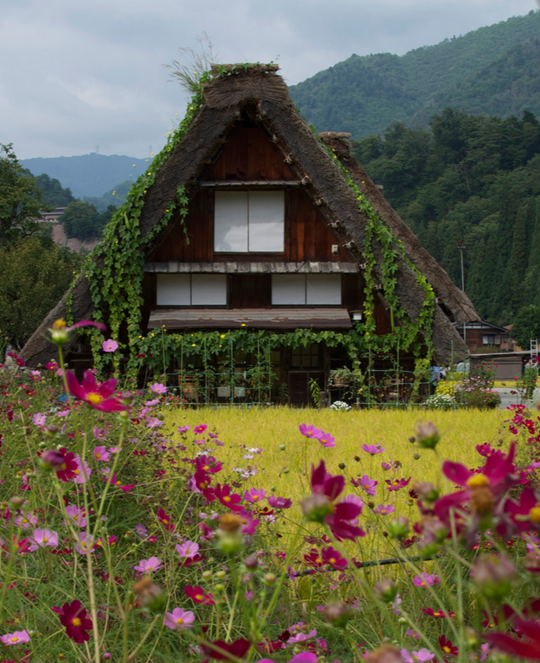Shirakawa-go Shirakawa-go