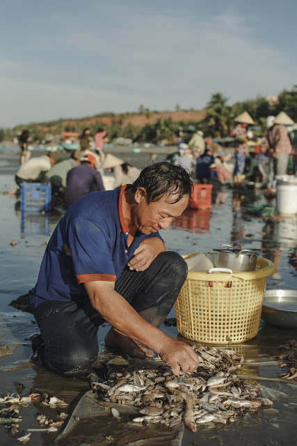 Sơ nét về khu chợ làng chài Mũi Né Bước xuống một đoạn bậc tam cấp, bạn sẽ “rơi” vào khu chợ cá. Đây là nơi người dân địa phương tiến hành thả lưới mỗi sáng cũng như thu mua những con ghẹ, tôm, cá tươi từ những thuyền thúng vừa đánh bắt mang vào. Khung cảnh mua bán tấp nập ở đây cứ tiếp diễn ngày này tháng nọ như một vòng tuần hoàn.