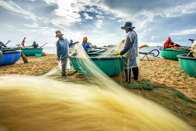 Bắt đầu từ 5h30 đến 6h sáng trở đi, những chiếc thuyền, chiếc thúng ngoài khơi xa lần lượt mang theo một nguồn hải sản lớn vào bờ . Những người đàn ông lực lưỡng nhảy xuống kéo thuyền thúng, lôi hết những gì đánh bắt được trong đêm xuống, đổ ra tấm bạt trải dài trên cát. Làng chài Mũi Né chủ yếu phục vụ cho nhu cầu dân sinh, tuy nhiên cũng có rất nhiều khách du lịch tìm đến để mua về hoặc chế biến thưởng thức tại chỗ