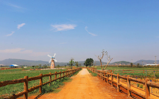 Vinamilk Organic dairy farm, Việt Nam Chẳng cần phải bay nửa vòng trái đất để tìm đến những cánh đồng Châu Âu bạt ngàn, ngay tại Việt Nam cũng có trang trại đẹp như một Hà Lan thu nhỏ, nơi những cô bò hạnh phúc trao tặng nguồn sữa tinh khiết nhất cho con người. Đặc biệt, Vinamilk Organic Đà Lạt cũng là trang trại duy nhất mở của tham quan free. Đừng quên book vé trước 2 tháng để chắc chắn có cơ hội chiêm ngưỡng khung cảnh trời Tây ở Việt Nam nhé!