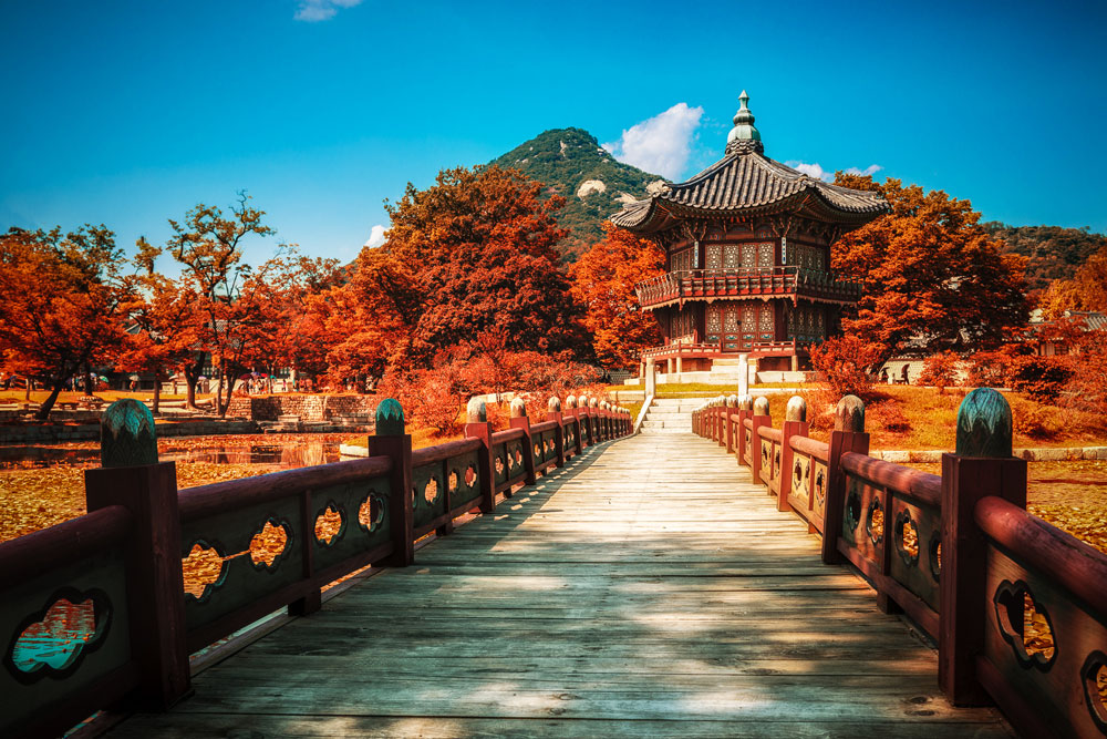 Tour du lịch Hàn Quốc Mùa Thu – Bản tình ca lãng mạn