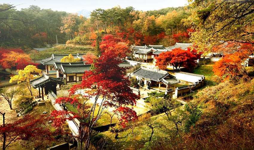 Tour du lịch Hàn Quốc Mùa Thu – Bản tình ca lãng mạn
