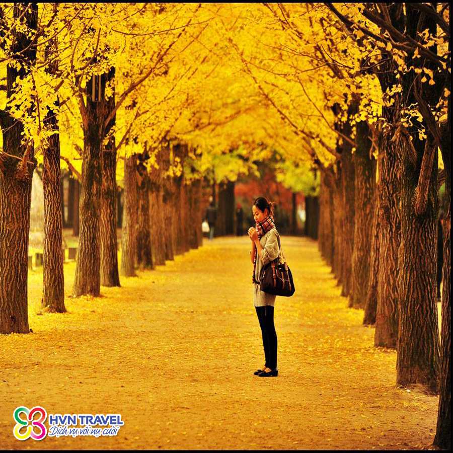 SEOUL – NAMI – EVERLAND (05N – 04D)