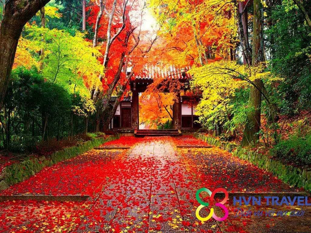 SEOUL – NAMI – EVERLAND (05N – 04D)