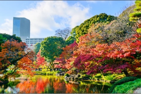 TOUR DU LICH NHẬT BẢN TẾT DƯƠNG LỊCH -&nbsp;COUNTDOWN - CHÀO ĐÓN NĂM MỚI TẠI TRUNG TÂM TOKYO