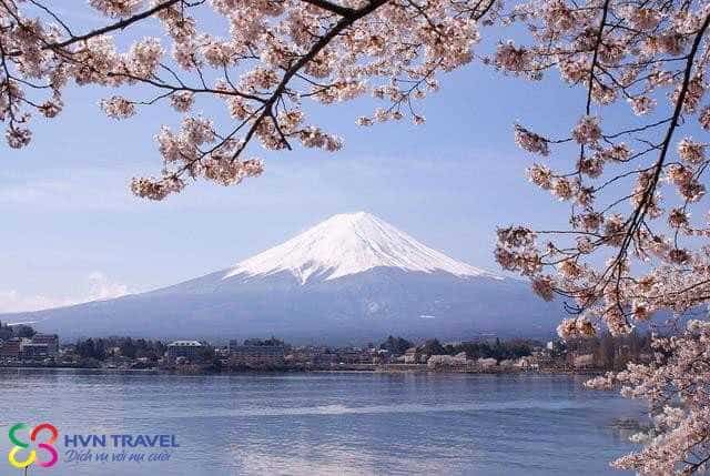 FUJI