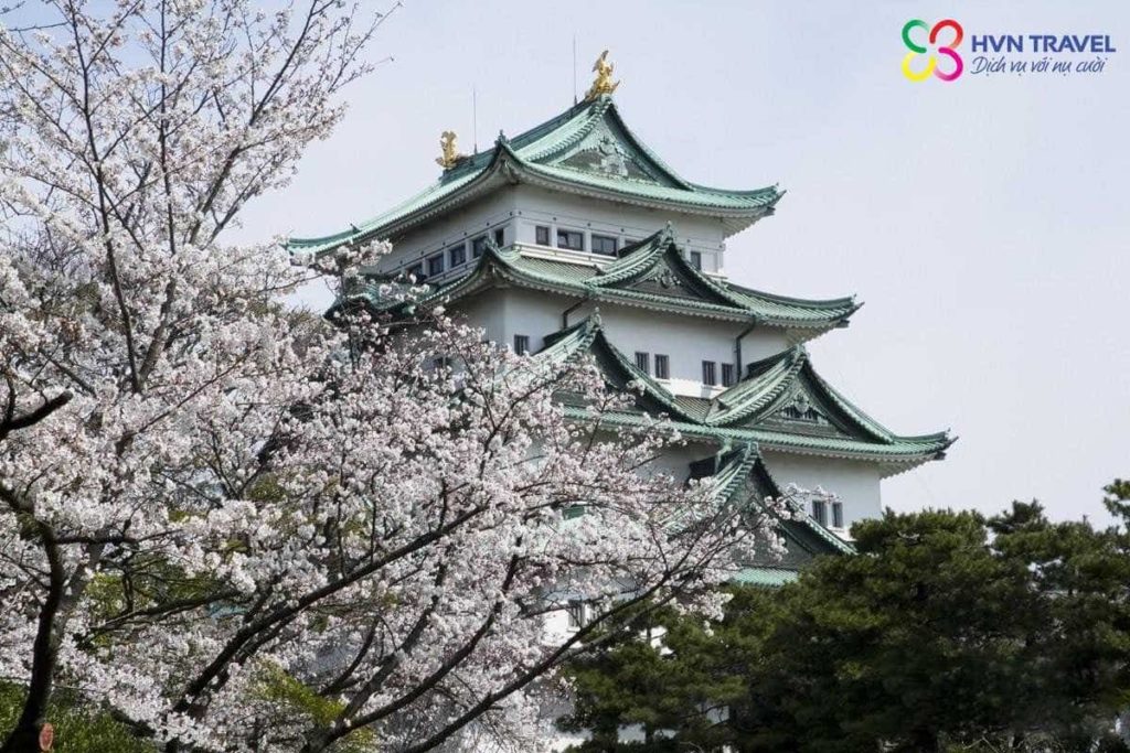 NAGOYA – BỨC TƯỜNG TUYẾT KỲ VỸ ( 5N – 4D )