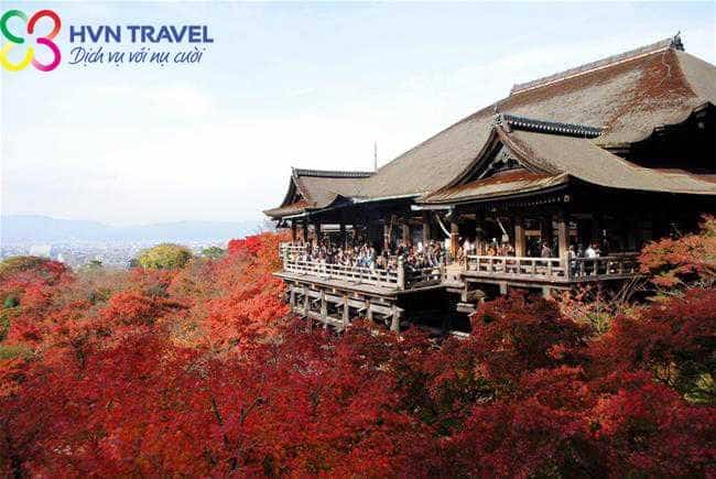 TOKYO – KYOTO – OSAKA  (06N – 05D)