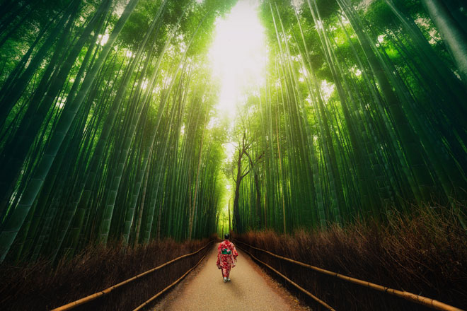 Tour du lịch Nhật Bản Trải nghiệm mùa thu lá vàng