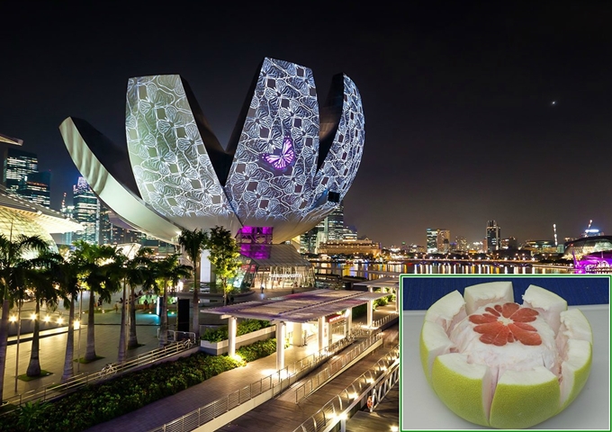 Tour Du lịch Singapore 4 ngày 3 đêm Dịp Lễ Quốc Khánh 2/9