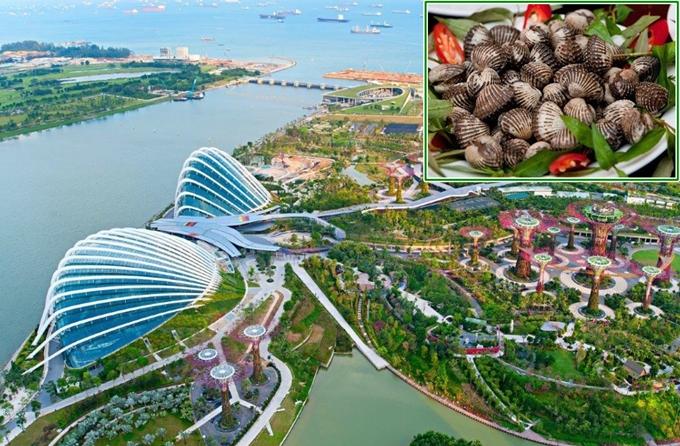 Tour Du lịch Singapore 4 ngày 3 đêm Dịp Lễ Quốc Khánh 2/9