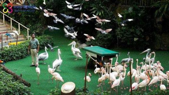 SINGAPORE – SENTOSA (04N – 03D)