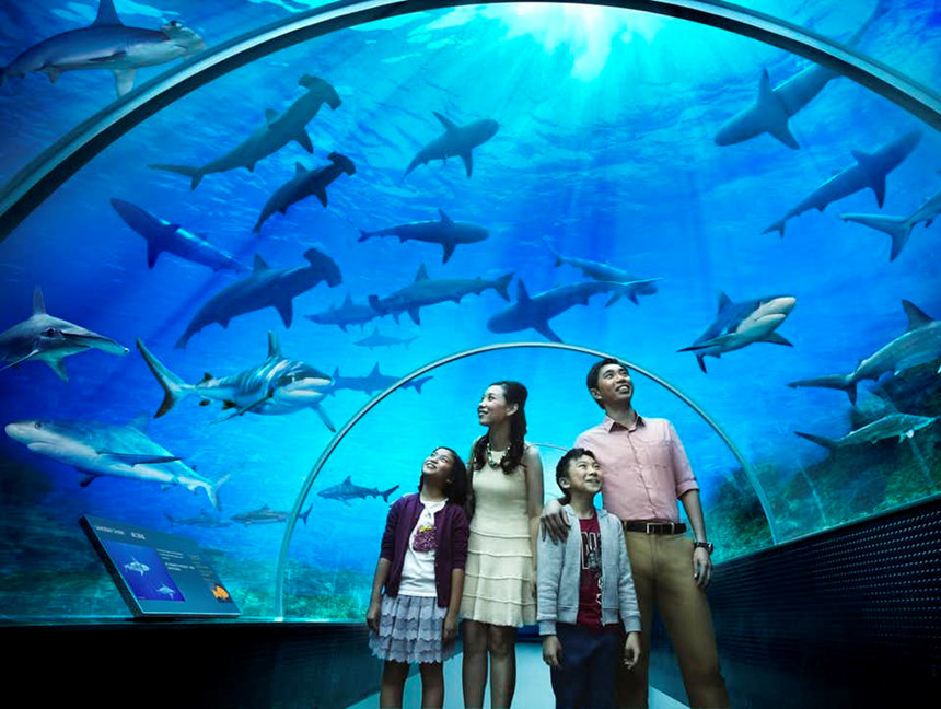 Tour du lịch Singapore 4 ngày 3 đêm khởi hành từ Hà Nội HVN TRAVEL