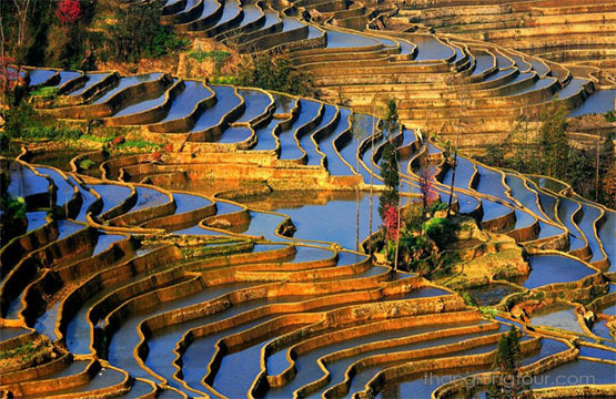 TOUR DU LỊCH TRUNG QUỐC: NGUYÊN DƯƠNG – LA BÌNH – CÔN MINH (5N4Đ)