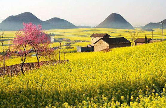 TOUR DU LỊCH TRUNG QUỐC: NGUYÊN DƯƠNG – LA BÌNH – CÔN MINH (5N4Đ)