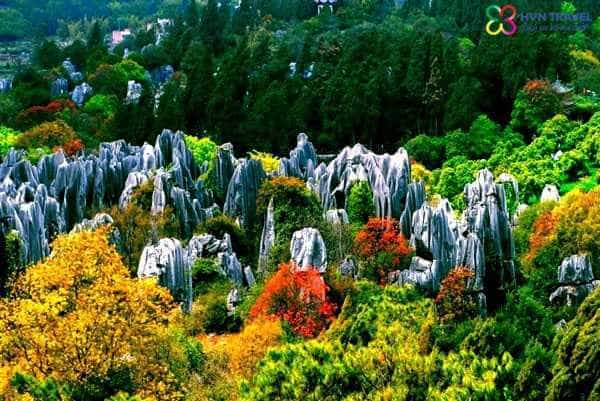 HÀ KHẨU-THẠCH LÂM-ĐẠI LÝ-LỆ GIANG-CÔN MINH (6N-7D)