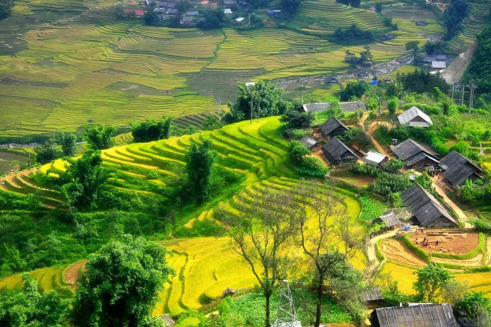 KHÁM PHÁ VẺ ĐẸP NÚI RỪNG TÂY BẮC (5N-4D)