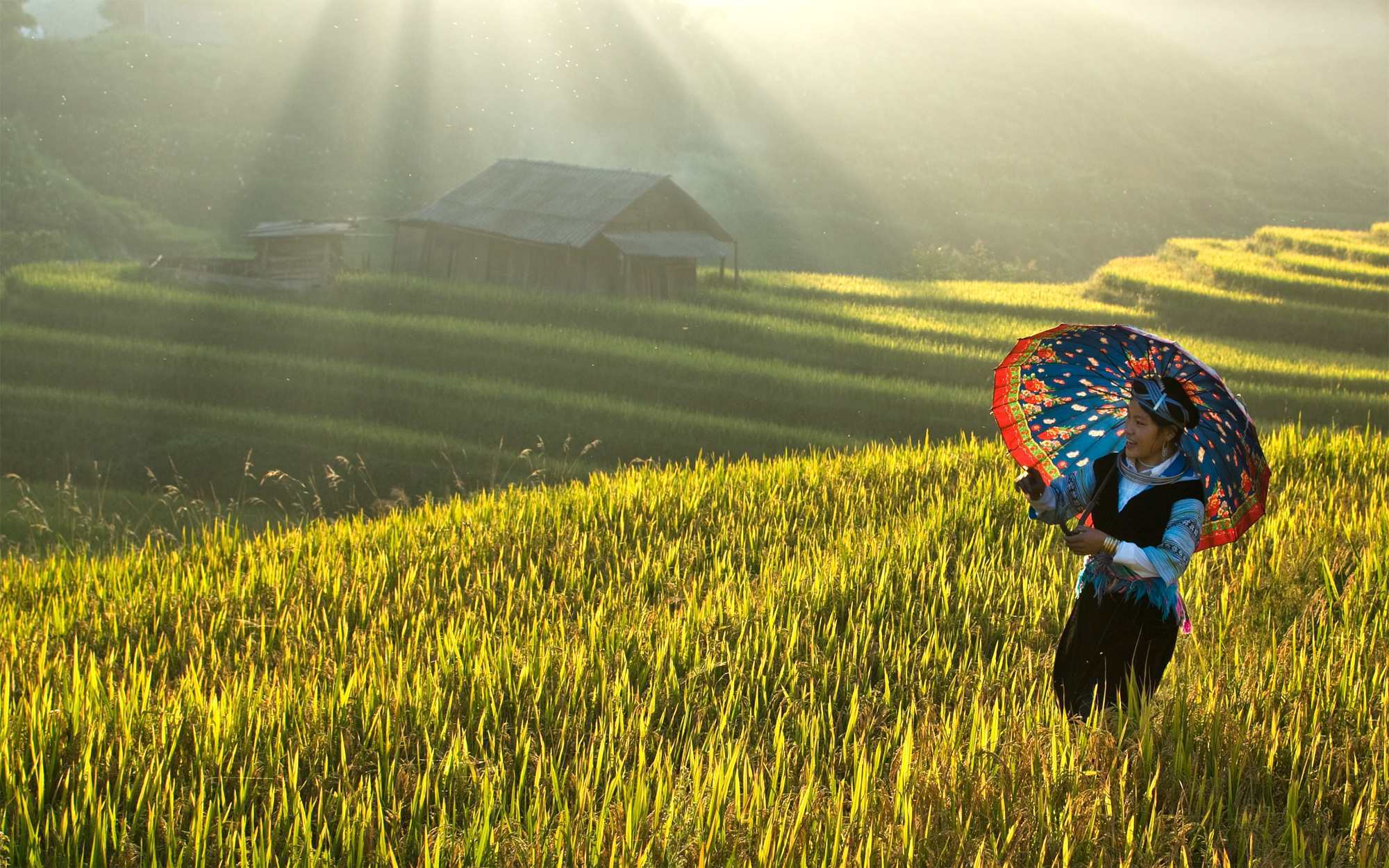 TÂY BẮC MÙA THU – HÀNH TRÌNH VÀNG (4N-3D)