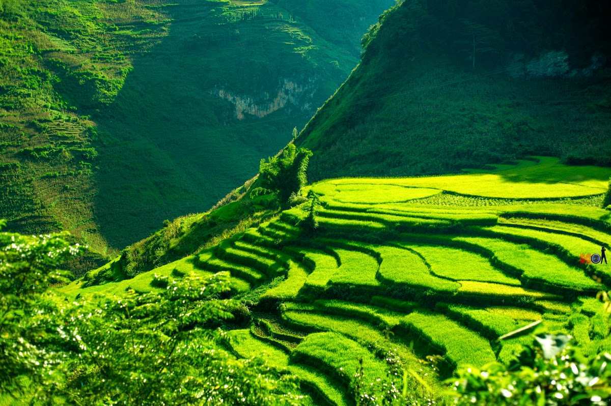 HÀ GIANG – MÙA HOA TAM GIÁC MẠCH (3N – 2D)