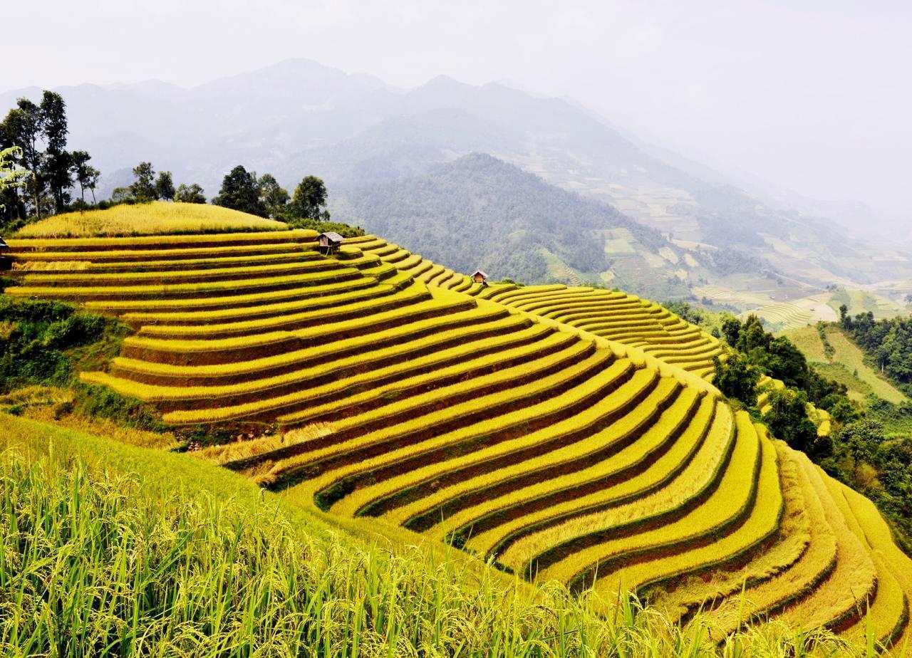 HÀ GIANG – MÙA HOA TAM GIÁC MẠCH (3N – 2D)