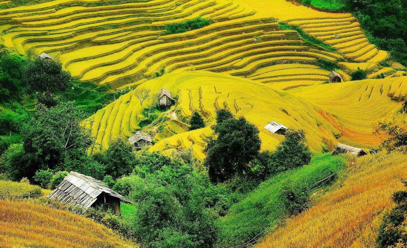 TÂY BẮC MÙA THU – HÀNH TRÌNH VÀNG (4N-3D)