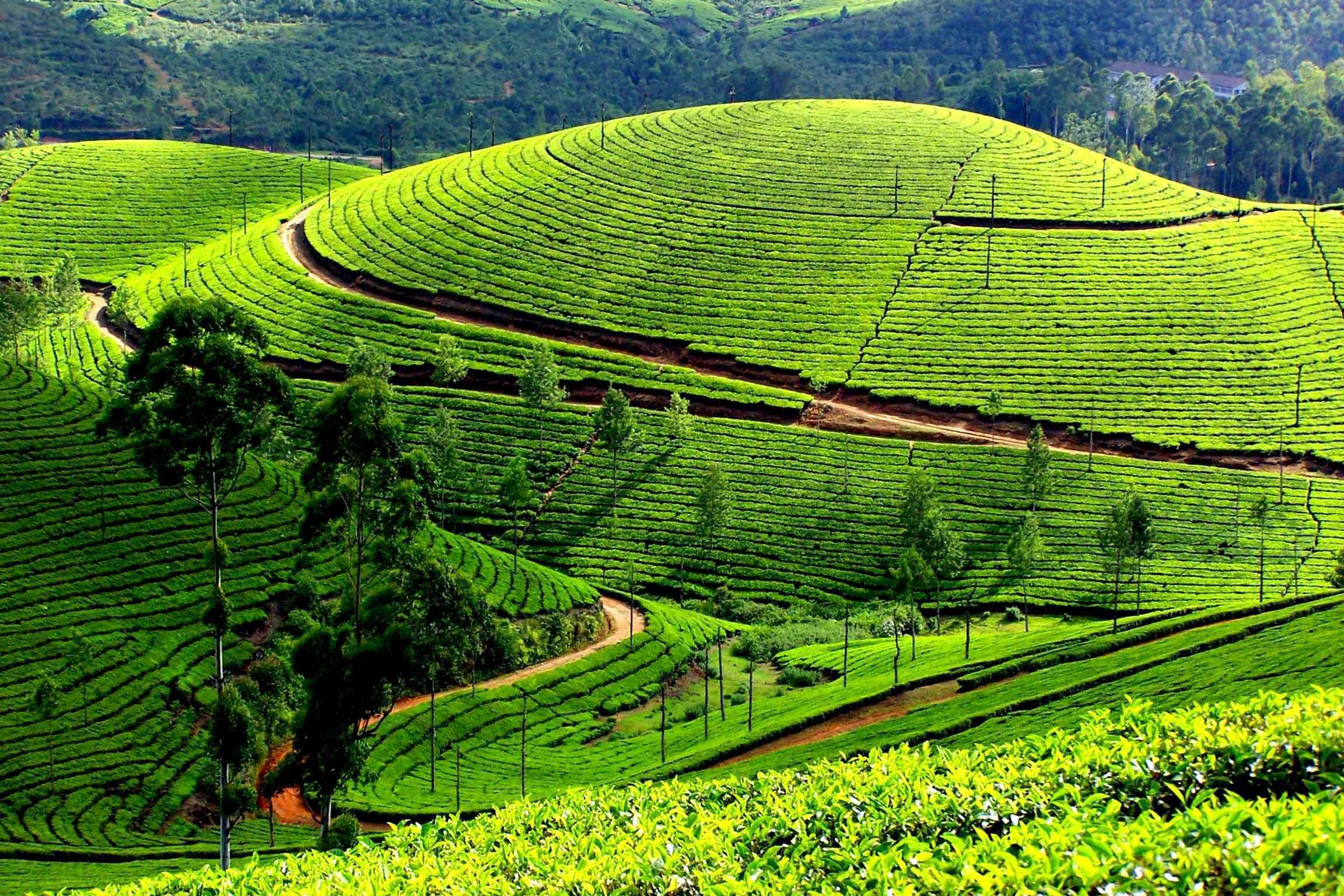 HÀ NỘI – MỘC CHÂU – SƠN LA –  ĐIỆN BIÊN – SAPA (5N-4D)