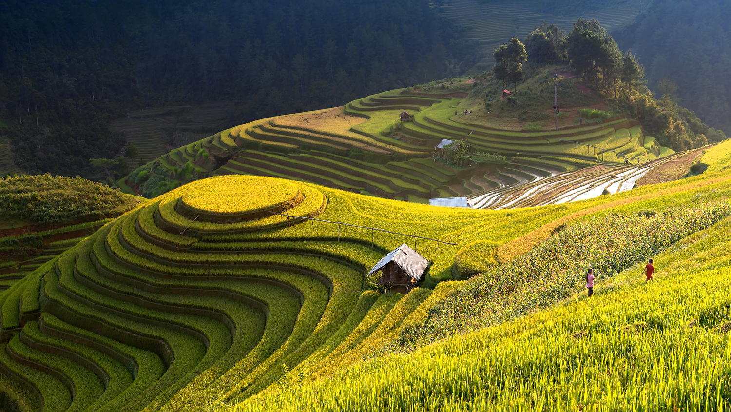 HÀ GIANG – MÙA HOA TAM GIÁC MẠCH (3N – 2D)