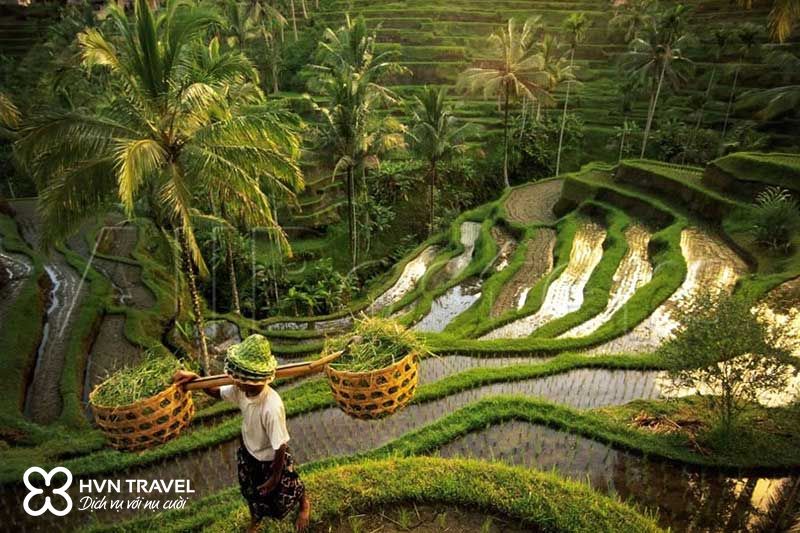 Tour du lịch Bali – KULALUMPUR  ĐẢO BALI  Thiên đường nghỉ dưỡng